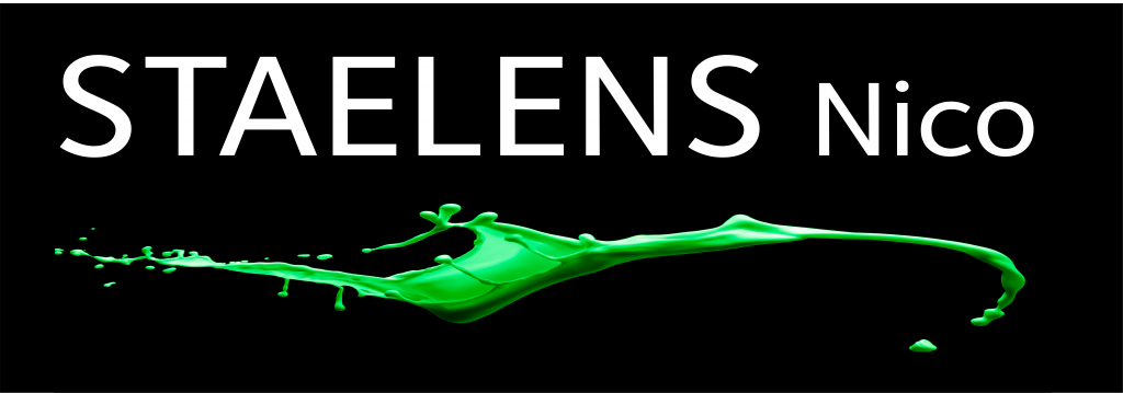 Schilderwerken Nico Staelens